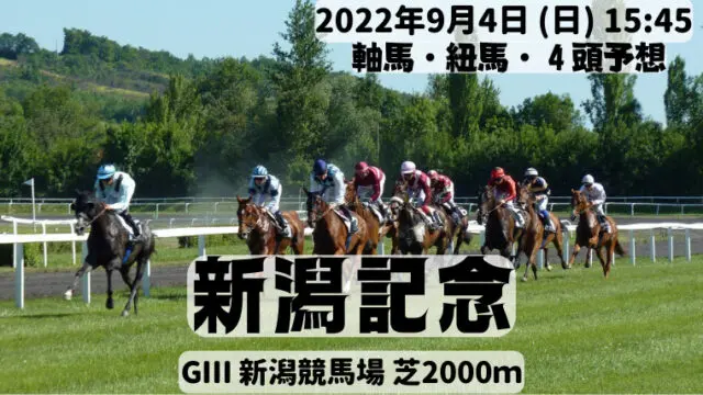 新潟記念22022